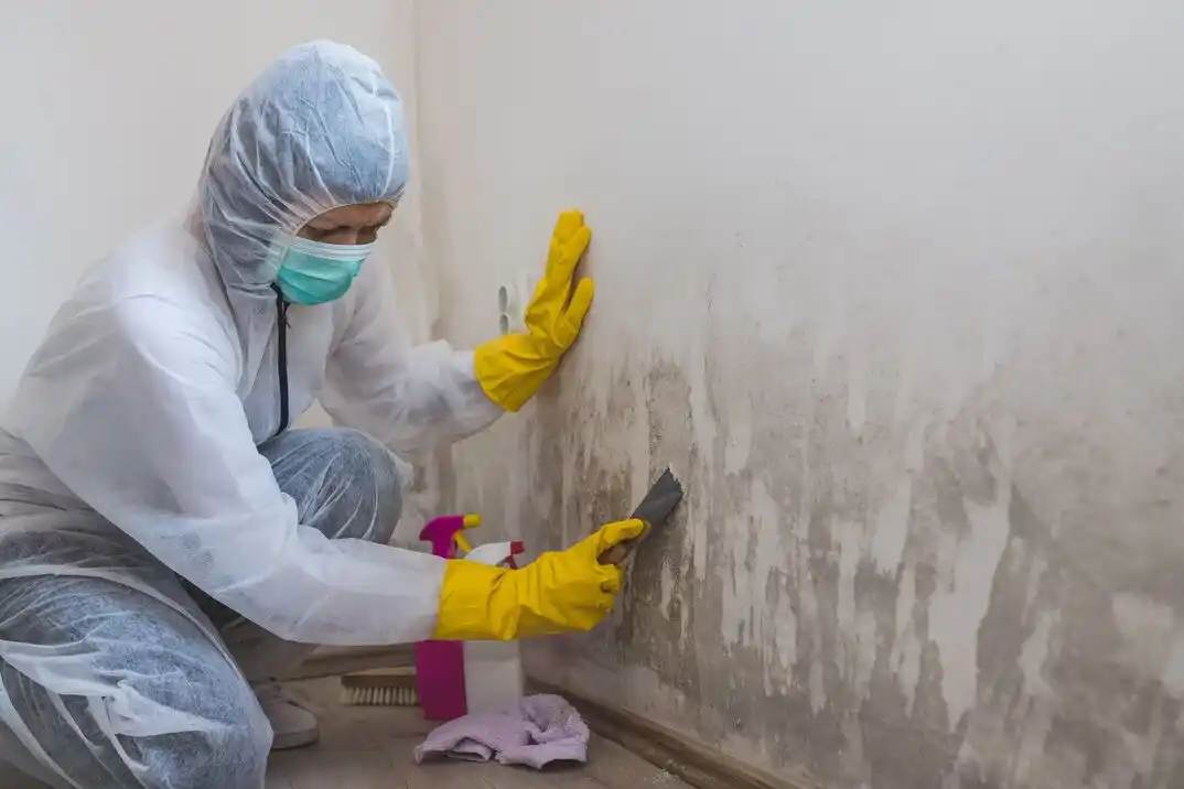 water damage restoration service Carver Park